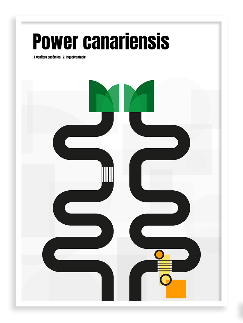 Lámina Power Canariensis marco blanco