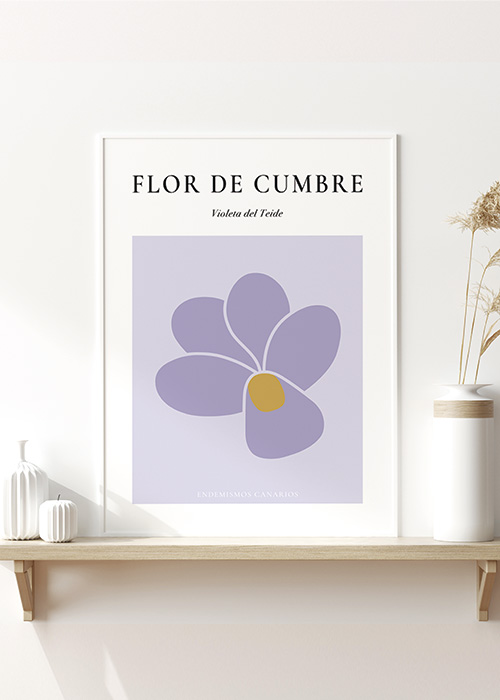 Lámina Violeta en interior