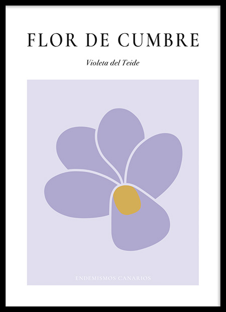 Lámina Violeta en marco negro